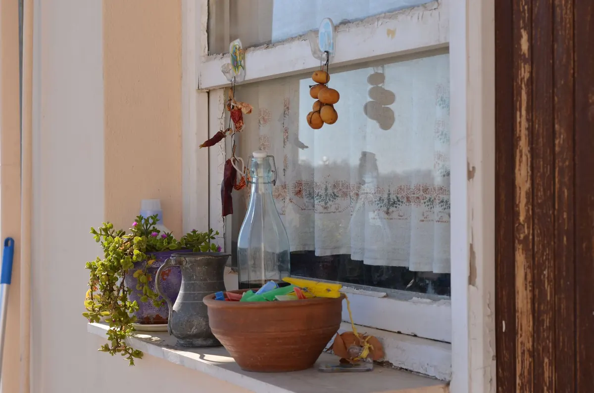 10 Common Mistakes to Avoid When Growing Herbs in Containers